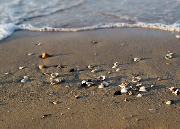 Peaceful Seaside Flat With Pool In *